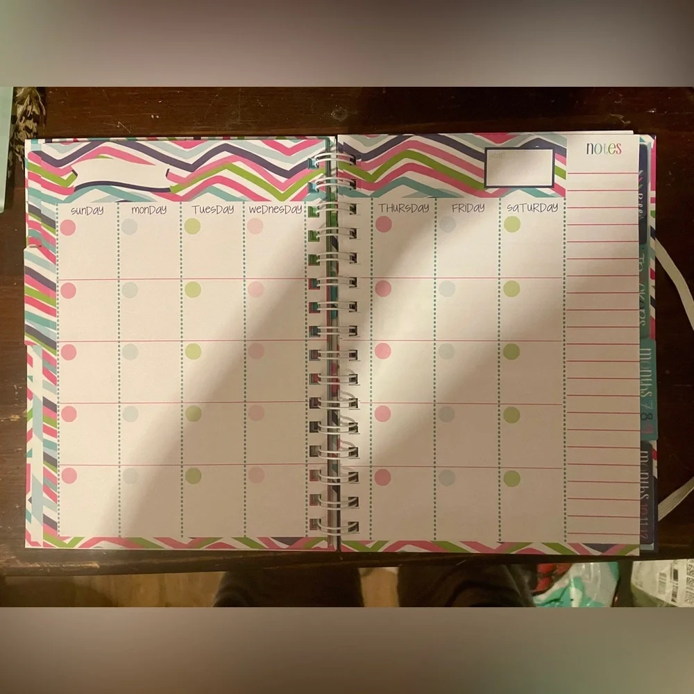 Denise Albright Budget Binder™ Bill Tracker Financial Planner | Geo Design. NEW